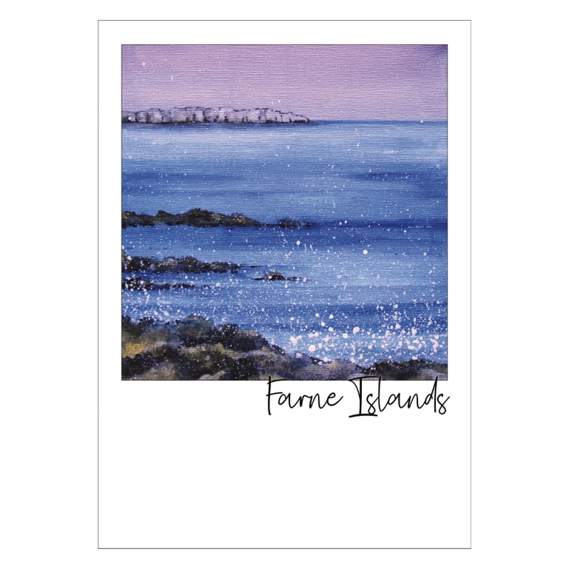 Farne Islands Postcard